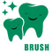 EliteBrush™
